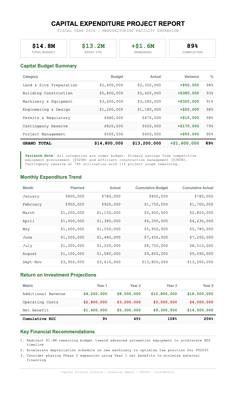 Financial statement project report